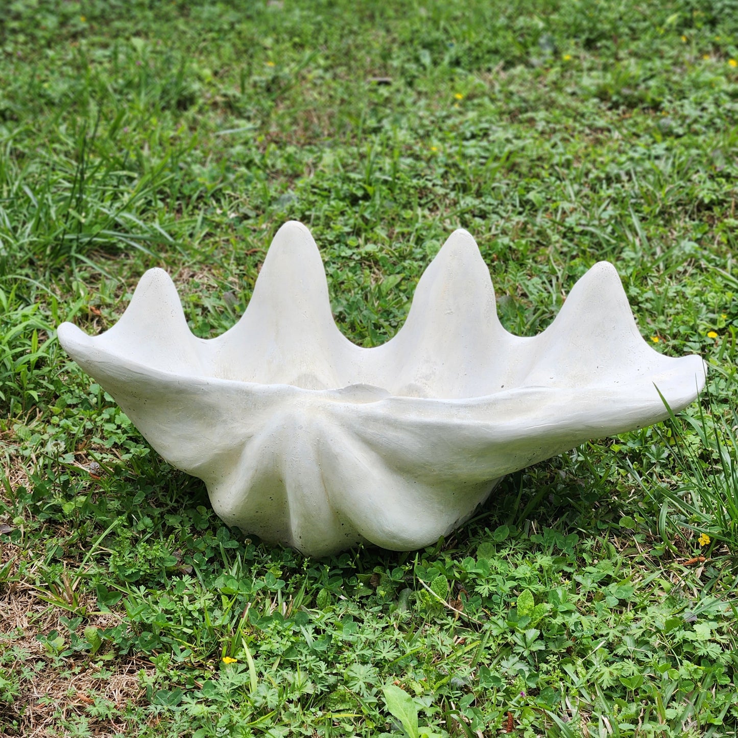 XL Concrete Shell Planter