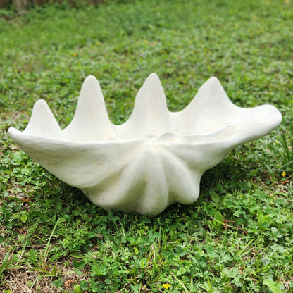 XL Concrete Shell Planter