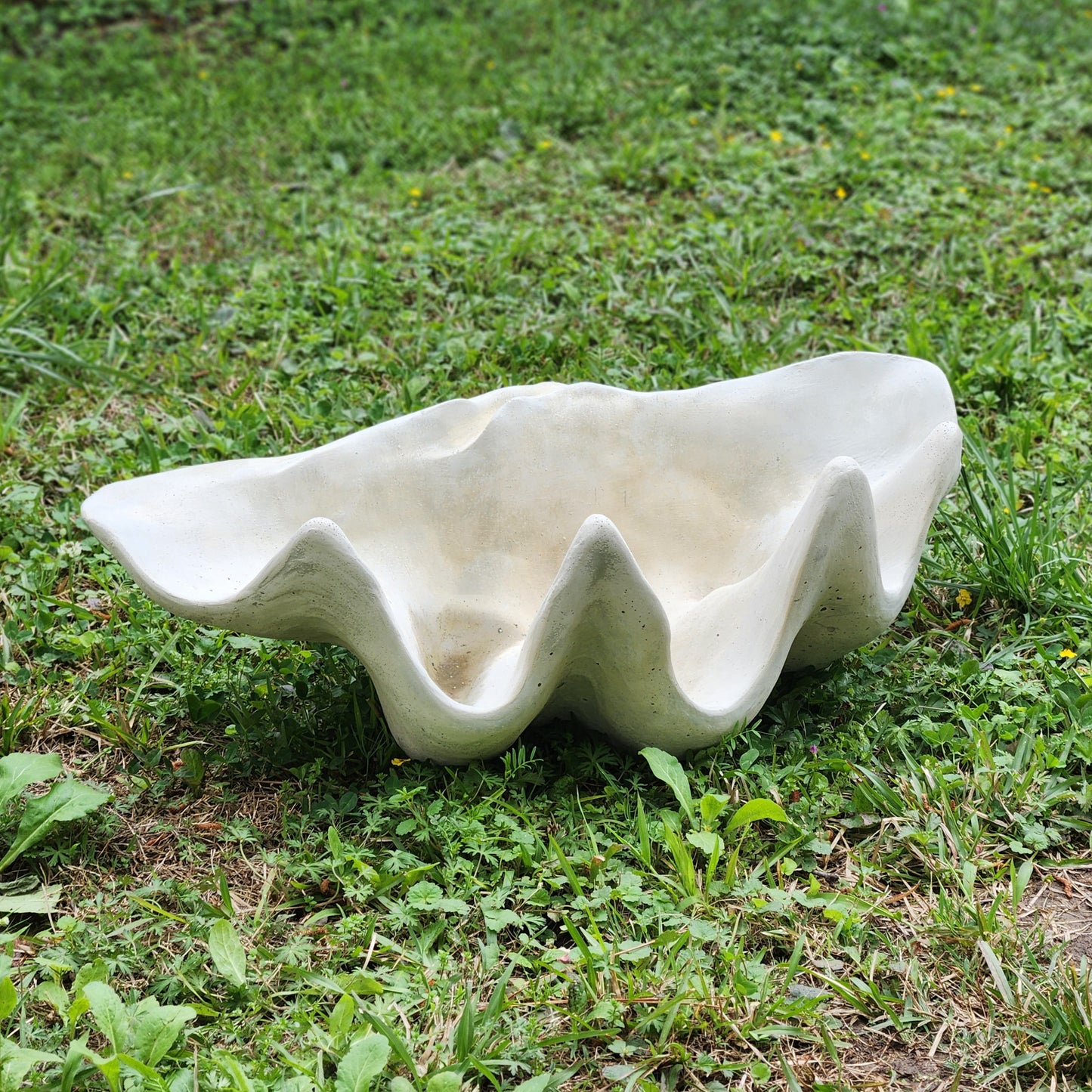 XL Concrete Shell Planter