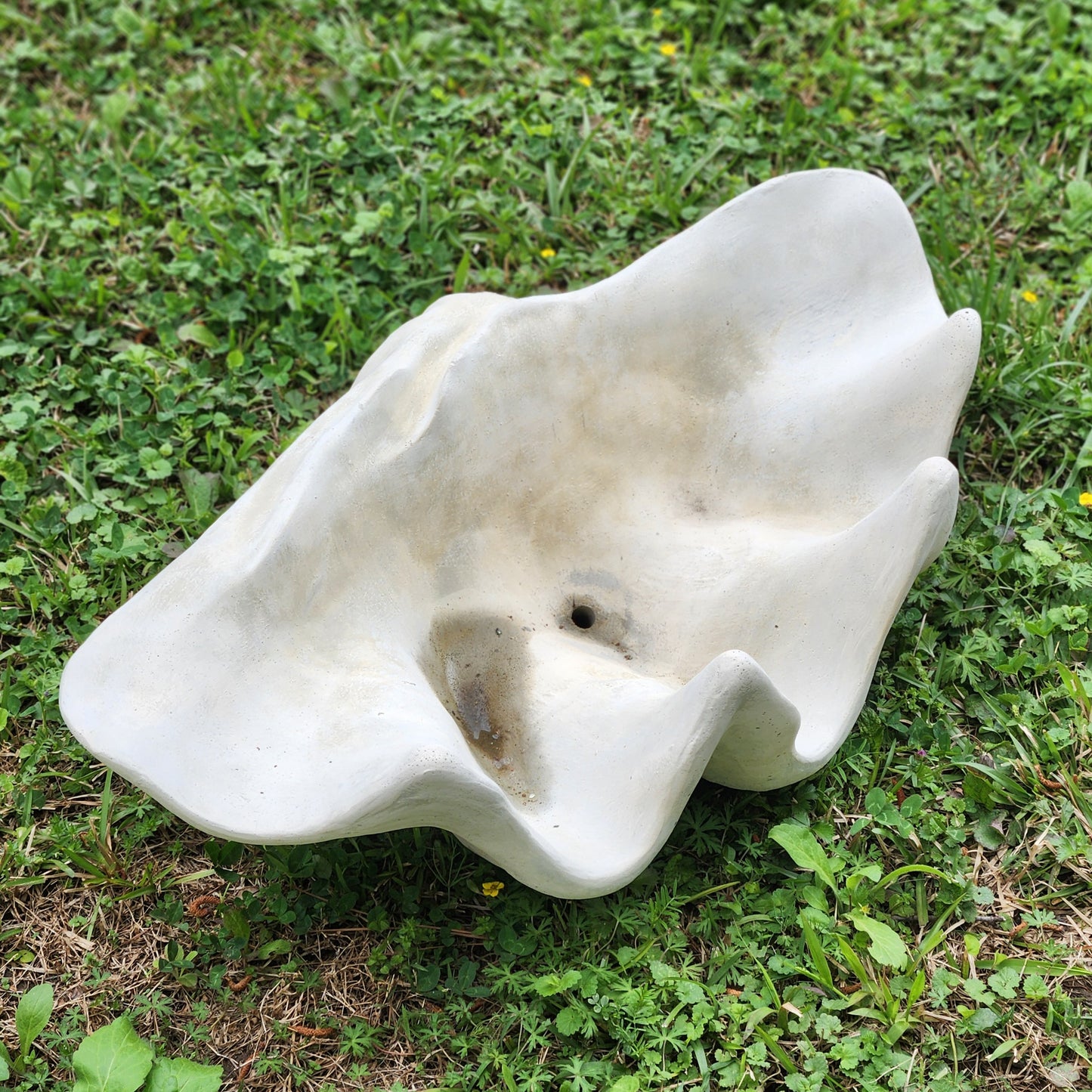 XL Concrete Shell Planter