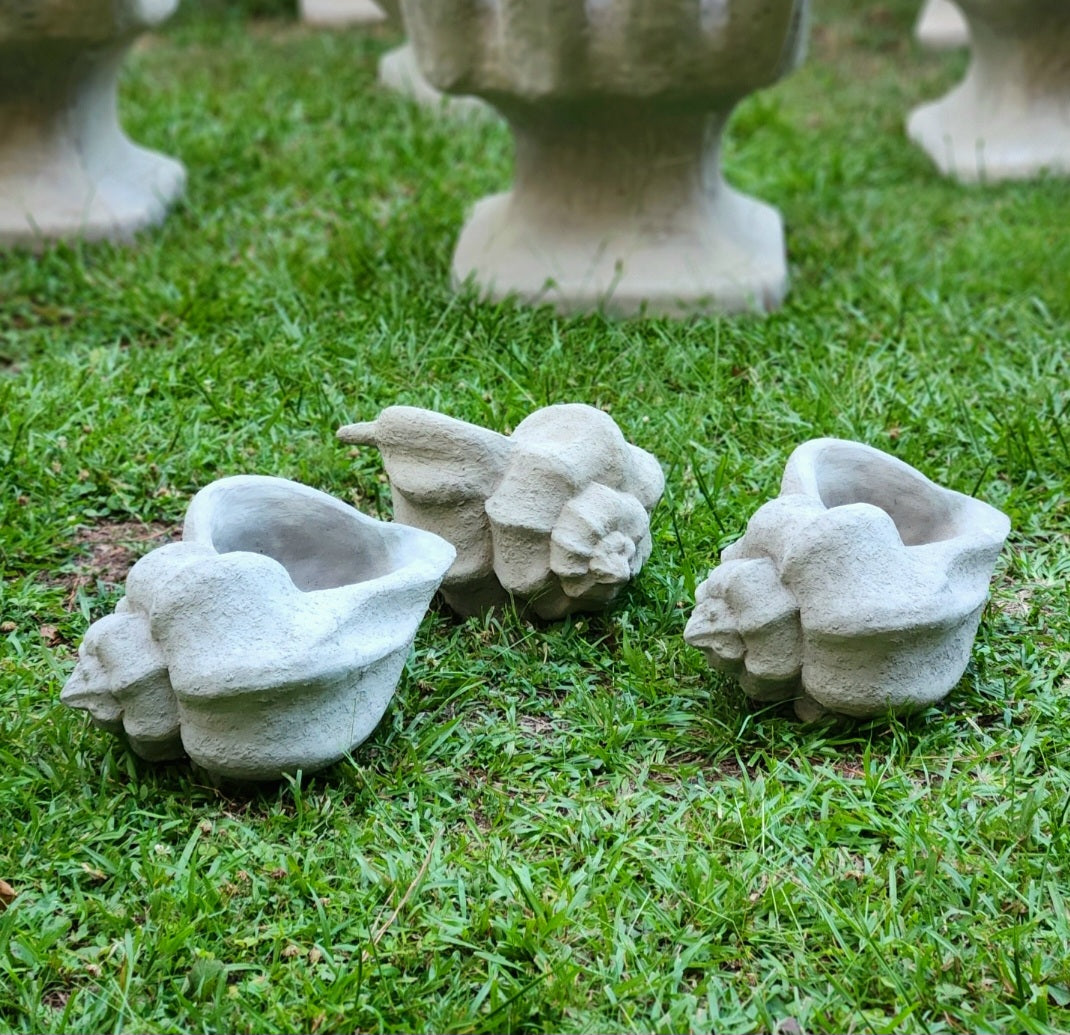 Concrete Conch Shell Planter