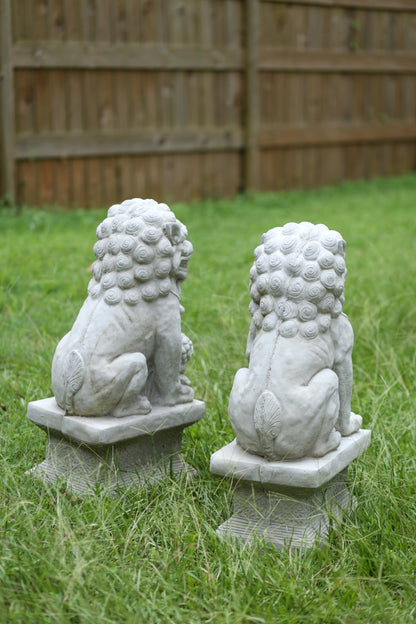 Concrete Foo Dog Statues, Set of 2