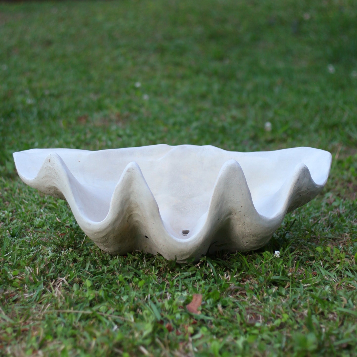 XL Concrete Shell Planter