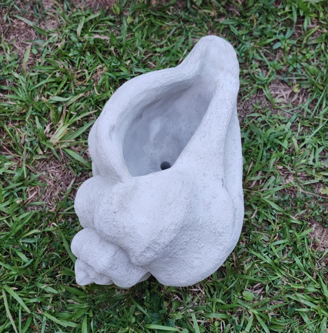 Concrete Conch Shell Planter