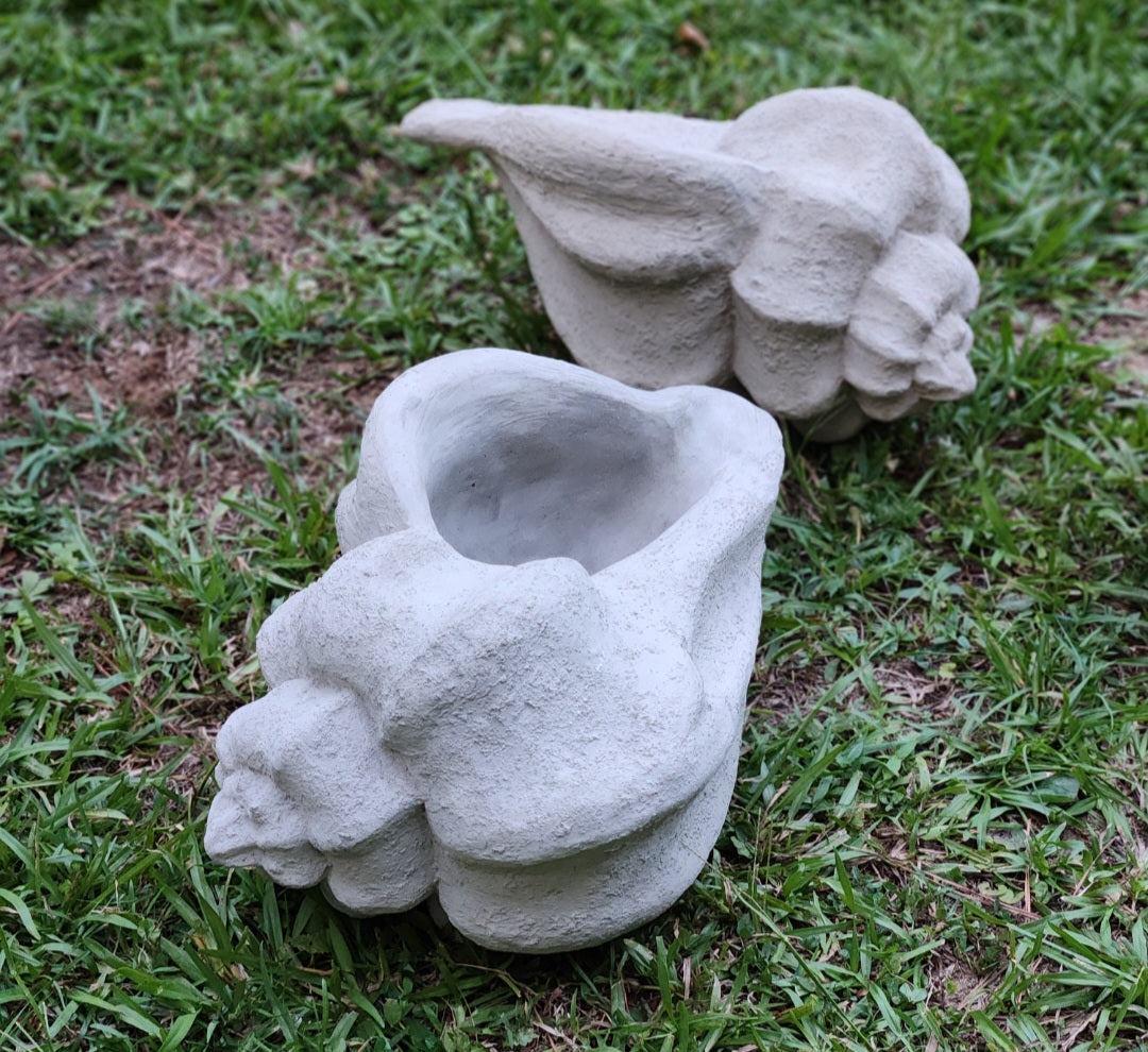 Concrete Conch Shell Planter