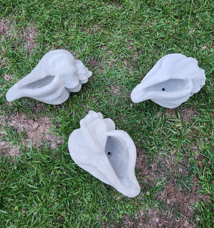 Concrete Conch Shell Planter